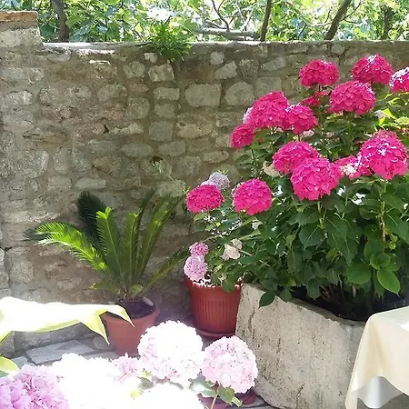 Pensiune Slavica Rafailovici